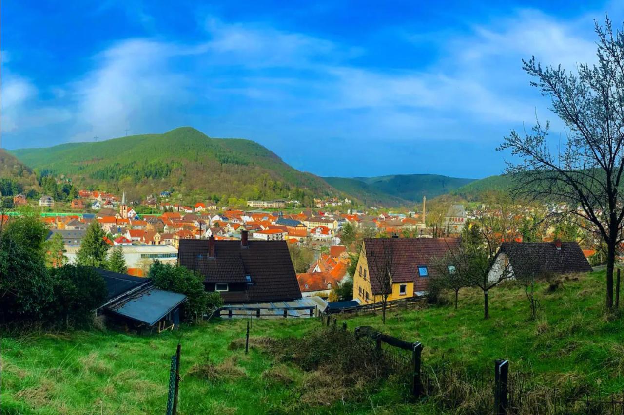 Lieblingsplatz Im Pfalzer Wald Apartment Lambrecht  Bagian luar foto